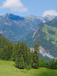 Similar image 885752