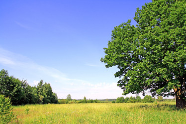 Similar image 885753