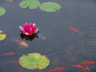 Similar image 885758