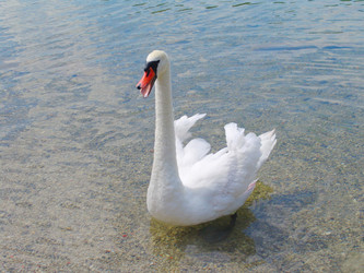 Similar image 885782