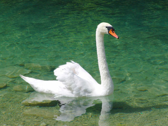 Similar image 885783