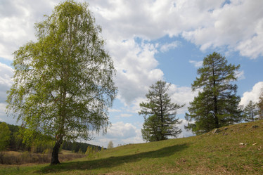 Similar image 885794