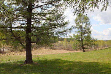 Similar image 885795