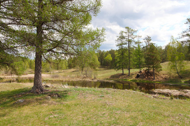 Similar image 885797