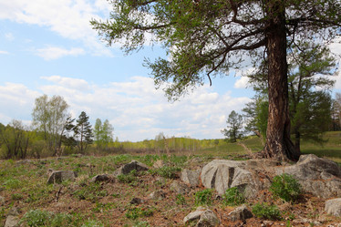 Similar image 885798