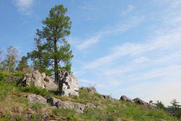 Similar image 885822