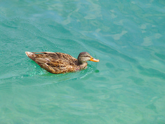 Similar image 885824