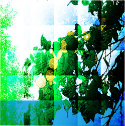 Similar image 885910