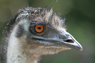 Similar image 885916