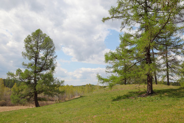 Similar image 885933