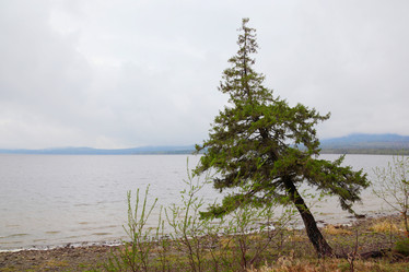 Similar image 885941