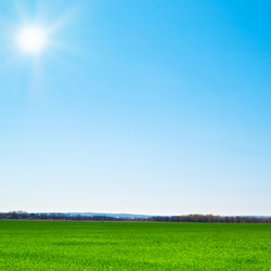 Similar image 885962