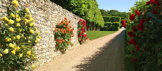 Similar image 885972