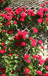 Similar image 885974