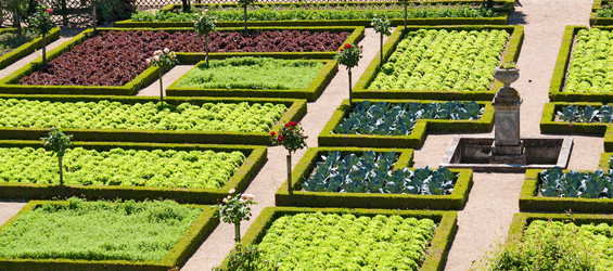 Similar image 885985