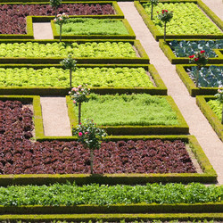 Similar image 885987