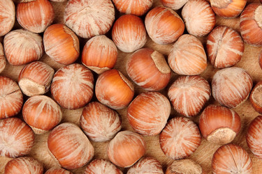 Similar image 886040