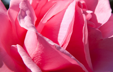 Similar image 886069