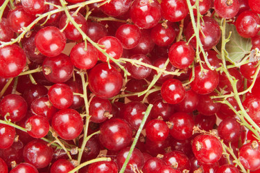 Similar image 886090