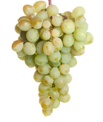 Similar image 886104