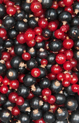 Similar image 886106