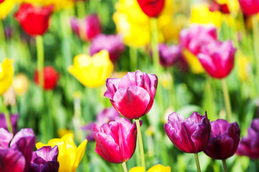 Similar image 886156