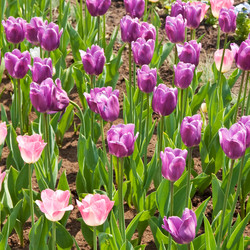 Similar image 886160