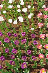 Similar image 886165