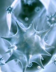 Similar image 886166