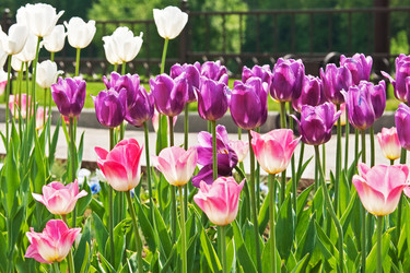 Similar image 886170