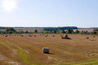 Similar image 886200