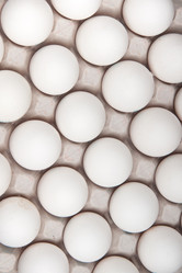 Similar image 886209