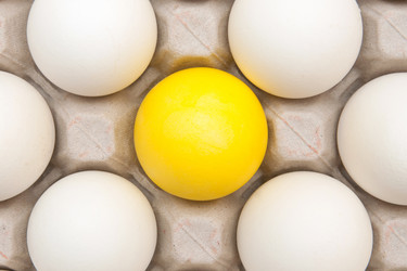 Similar image 886210