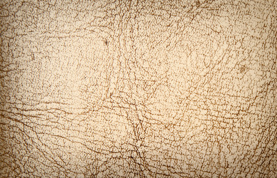 Similar image 886227