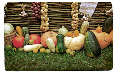 Similar image 886238