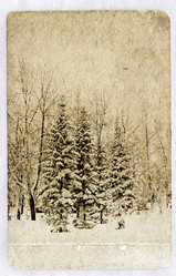 Similar image 886239