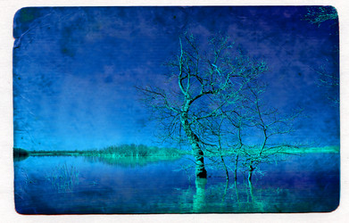 Similar image 886244