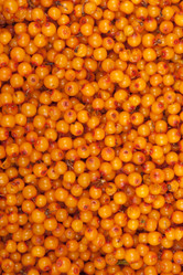 Similar image 886246