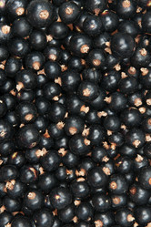 Similar image 886248