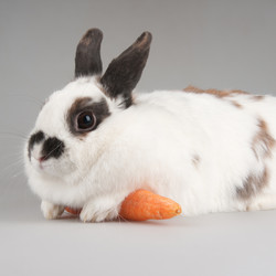 Similar image 886254