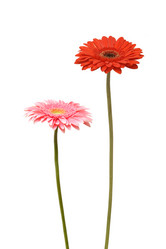 Similar image 886257