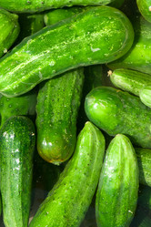 Similar image 886266