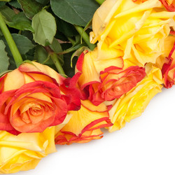 Similar image 886267