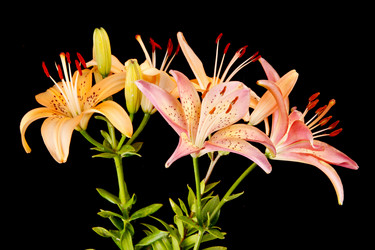 Similar image 886270