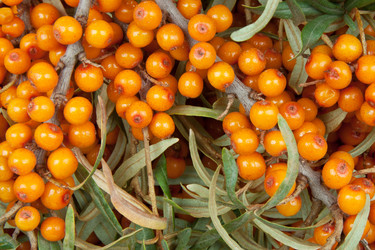 Similar image 886274