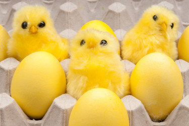 Similar image 886278