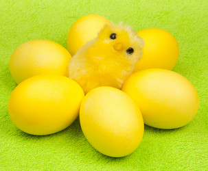 Similar image 886279