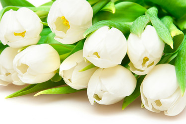 Similar image 886281