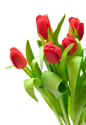 Similar image 886282