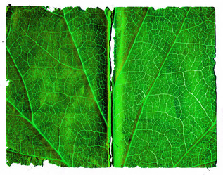 Similar image 886289